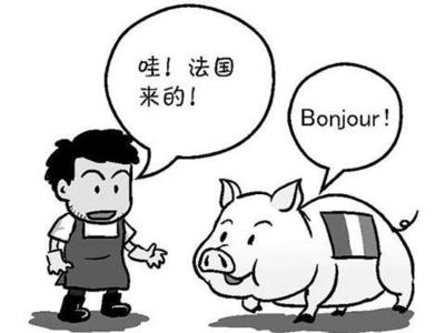 2015年法語翻譯專業資格(水平)考試時間